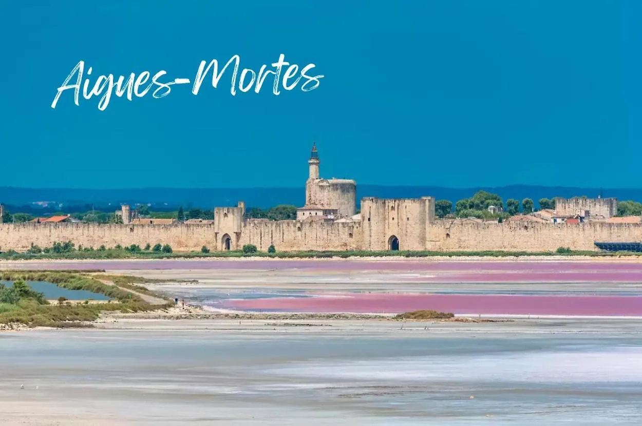 Le Victor Hugo - Avignon Intra Muros - Calme - Clim - Lumineux 0*,
